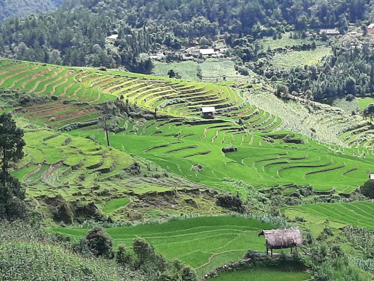 Dong Suoi H'Mong Homestay & Bungalow - Trek & Vegetarian Food Mu Cang Chai 外观 照片