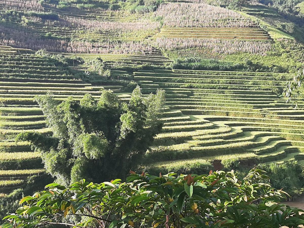 Dong Suoi H'Mong Homestay & Bungalow - Trek & Vegetarian Food Mu Cang Chai 外观 照片