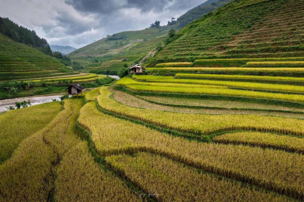 Dong Suoi H'Mong Homestay & Bungalow - Trek & Vegetarian Food Mu Cang Chai 外观 照片