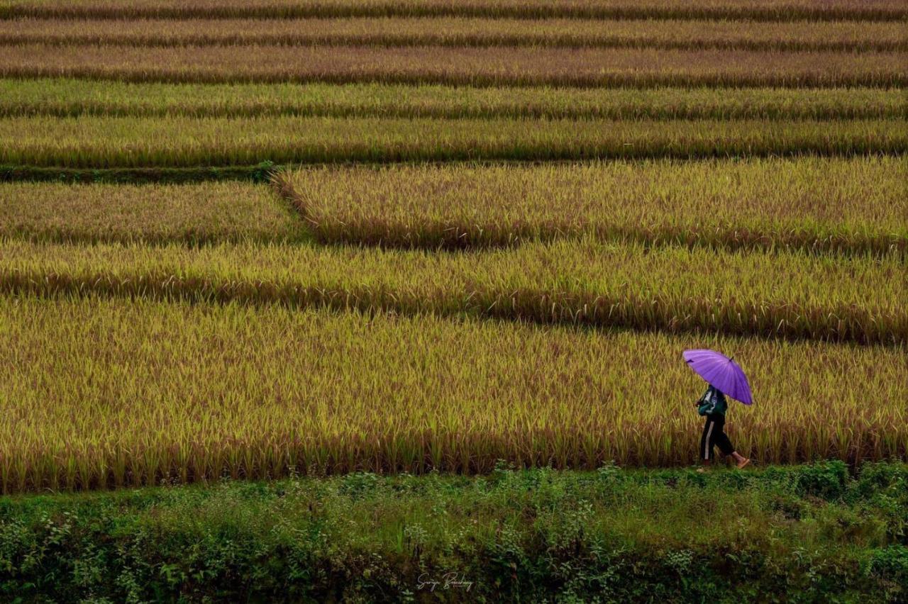 Dong Suoi H'Mong Homestay & Bungalow - Trek & Vegetarian Food Mu Cang Chai 外观 照片