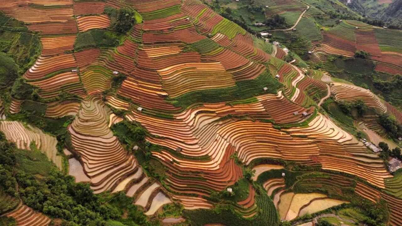 Dong Suoi H'Mong Homestay & Bungalow - Trek & Vegetarian Food Mu Cang Chai 外观 照片