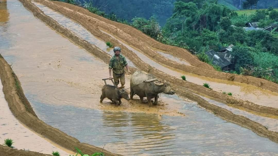 Dong Suoi H'Mong Homestay & Bungalow - Trek & Vegetarian Food Mu Cang Chai 外观 照片