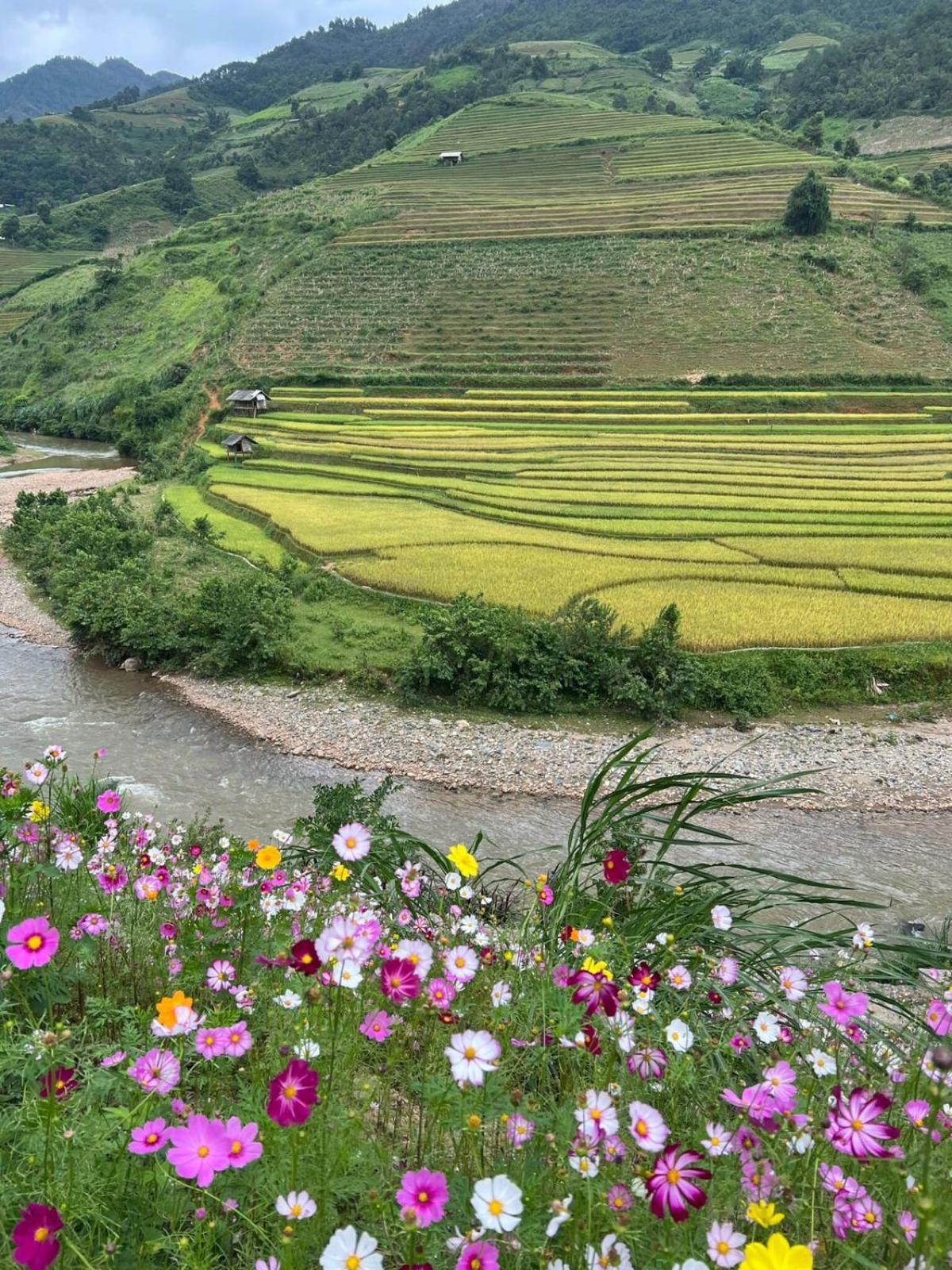 Dong Suoi H'Mong Homestay & Bungalow - Trek & Vegetarian Food Mu Cang Chai 外观 照片