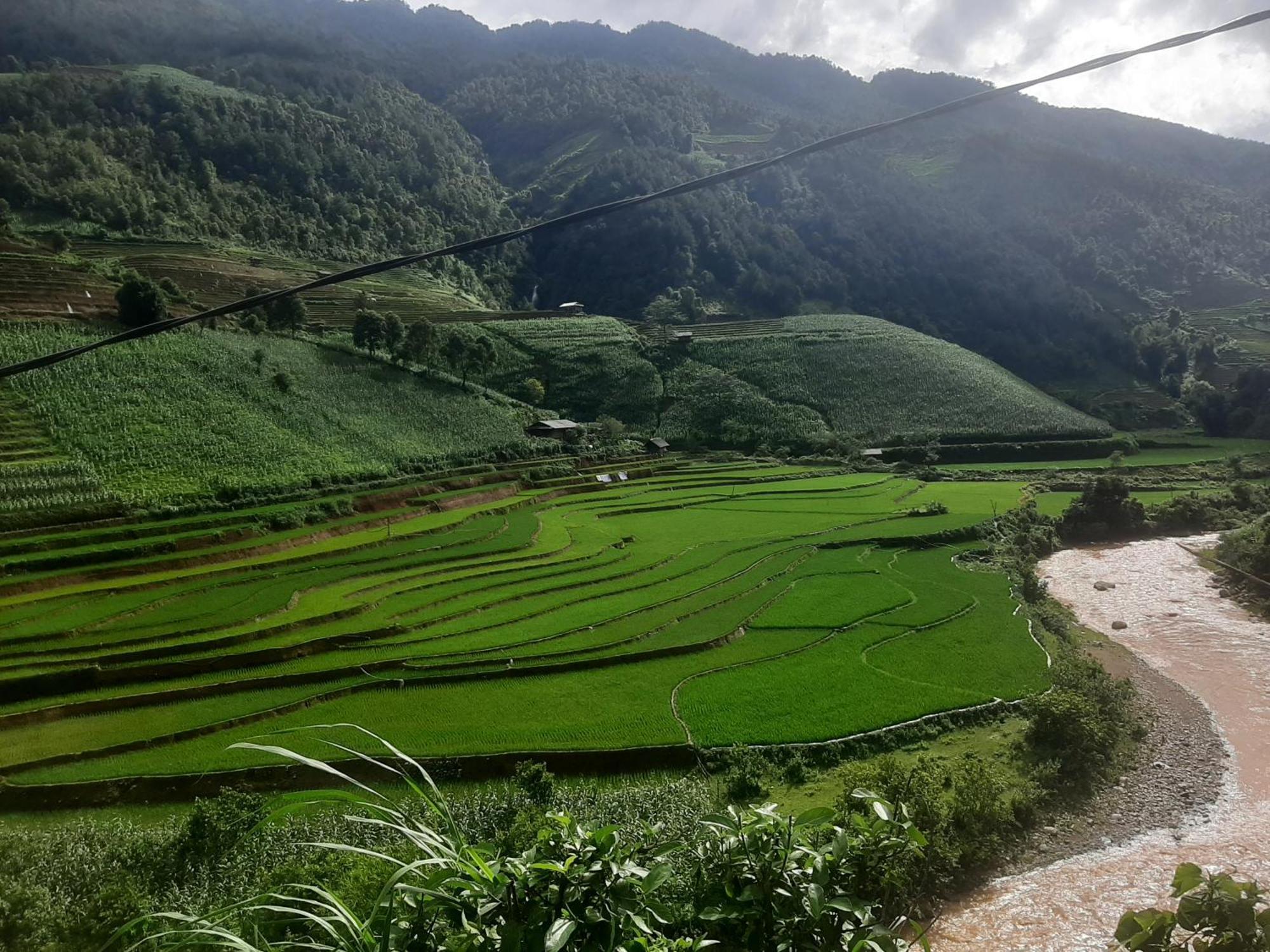 Dong Suoi H'Mong Homestay & Bungalow - Trek & Vegetarian Food Mu Cang Chai 外观 照片